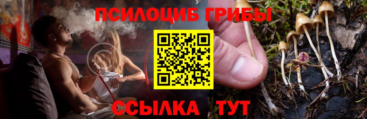 Галлюциногенные грибы мицелий  Вход с VPN  где можно купить   Каменка  Галлюциногенные грибы прущие грибы 