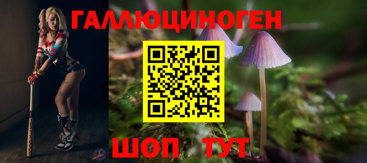 Галлюциногенные грибы Psilocybine cubensis Каменка